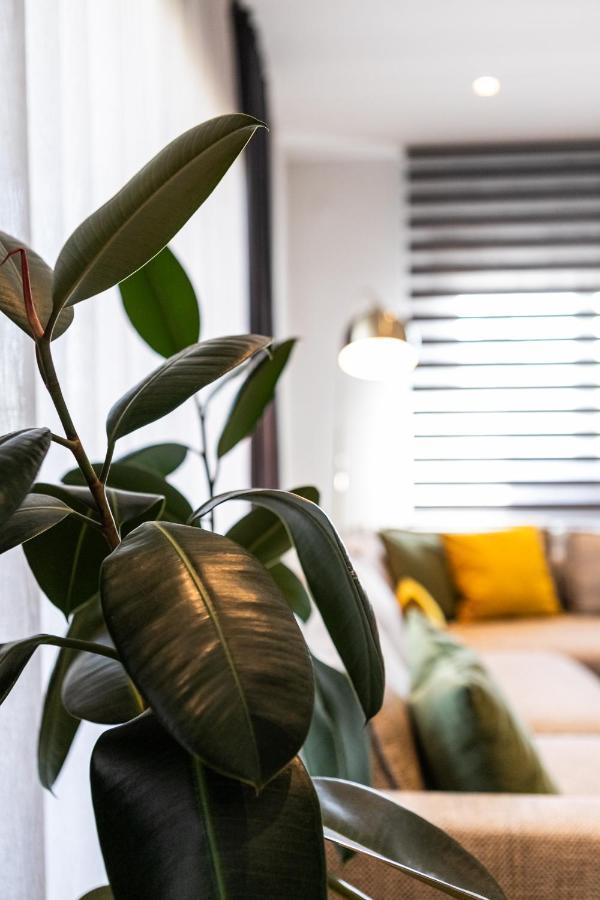 Aegli Central Luxury Apartment Alexandroúpoli Extérieur photo